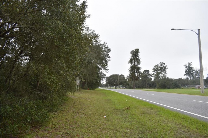 TBD MARION OAK BLVD, OCALA, Florida 34473, ,Land,For Sale,MARION OAK BLVD,OM611588