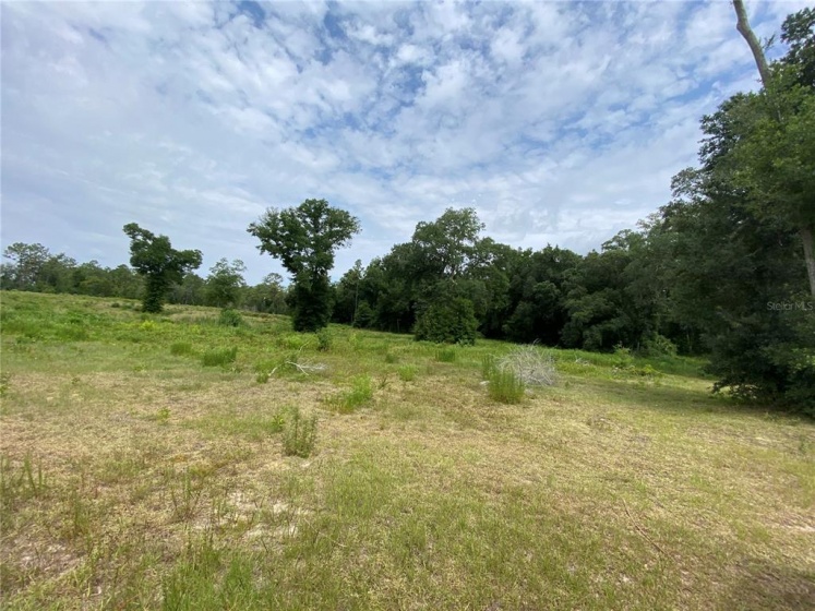 10920 27TH AVENUE, OCALA, Florida 34471, ,Land,For Sale,27TH,OM619919
