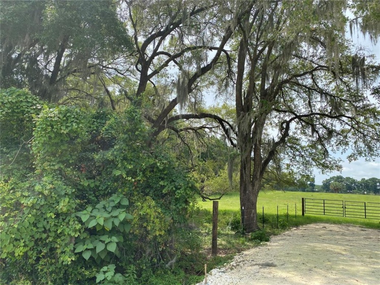 0 80TH STREET, OCALA, Florida 34480, ,Land,For Sale,80TH,OM619917