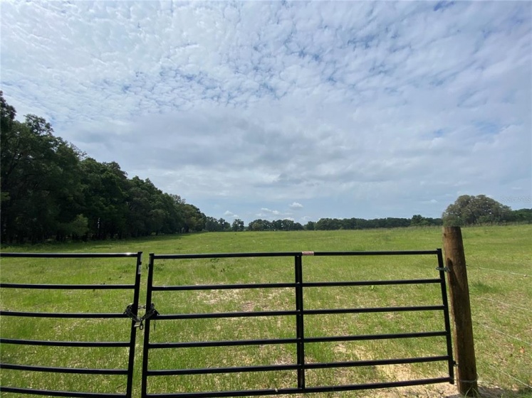 0 80TH STREET, OCALA, Florida 34480, ,Land,For Sale,80TH,OM619917