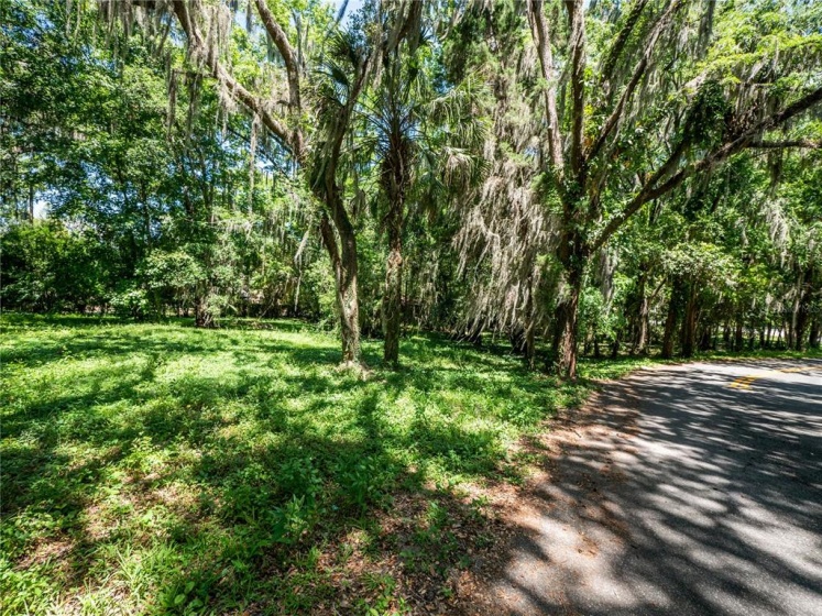 SE 4TH AVENUE, OCALA, Florida 34471, ,Land,For Sale,SE 4TH,OM620602