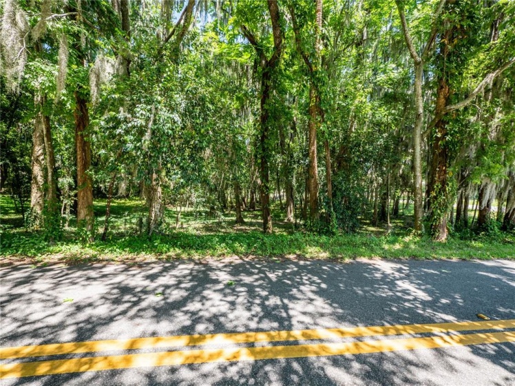 SE 4TH AVENUE, OCALA, Florida 34471, ,Land,For Sale,SE 4TH,OM620602