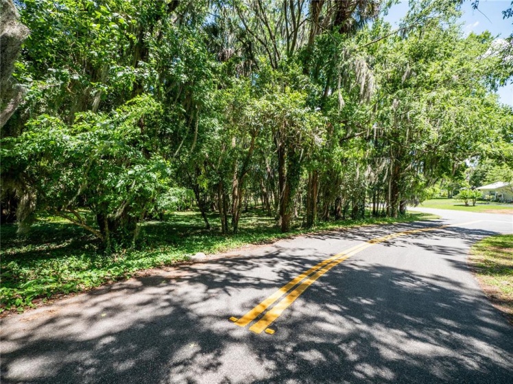 SE 4TH AVENUE, OCALA, Florida 34471, ,Land,For Sale,SE 4TH,OM620602