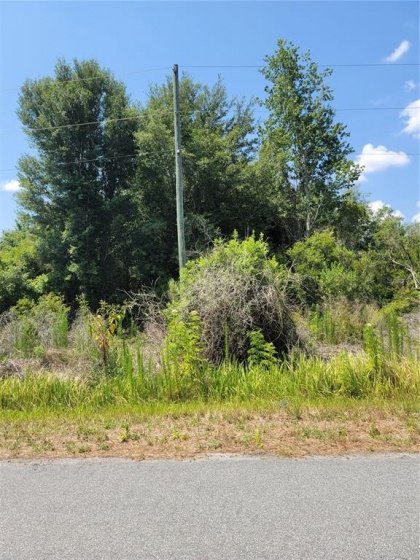 00 OAK LANE TRAIL, OCALA, Florida 34472, ,Land,For Sale,OAK LANE,G5042346
