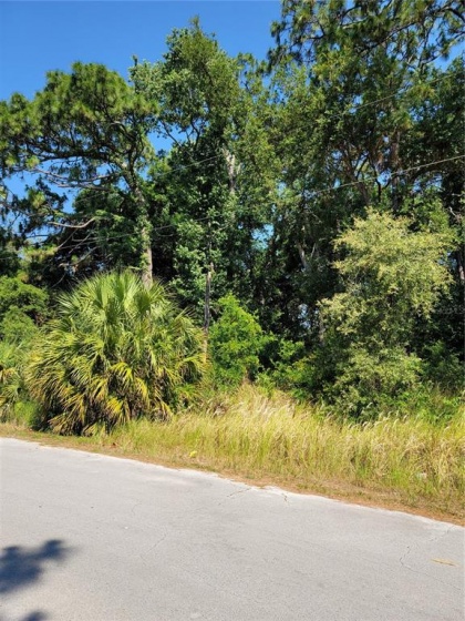 00 CEDAR TREE DRIVE, OCALA, Florida 34472, ,Land,For Sale,CEDAR TREE,G5042376
