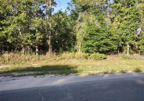 TBA 151 LOOP, OCALA, Florida 34473, ,Land,For Sale,151,OM620835