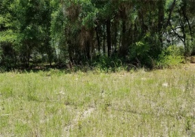 TBD 52ND AVENUE, OCALA, Florida 34482, ,Land,For Sale,52ND,OM620864