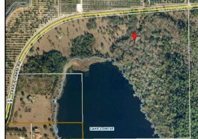 18996 LAKE PICKETT ROAD, ORLANDO, Florida 32820, ,Land,For Sale,LAKE PICKETT,O5948413