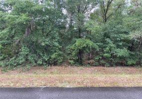 01 66TH STREET, OCALA, Florida 34481, ,Land,For Sale,66TH,O5948354