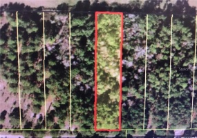 OSCEOLA POLK LINE ROAD, DAVENPORT, Florida 33896, ,Land,For Sale,OSCEOLA POLK LINE,S5051645