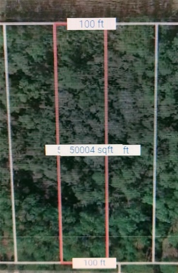 OSCEOLA POLK LINE ROAD, DAVENPORT, Florida 33896, ,Land,For Sale,OSCEOLA POLK LINE,S5051645