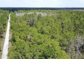 0, POLK CITY, Florida 33868, ,Land,For Sale,T3310677