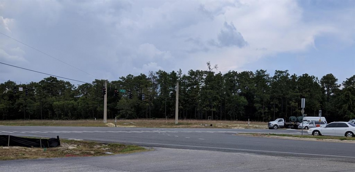 10011 484, OCALA, Florida 34481, ,Land,For Sale,484,OM565938