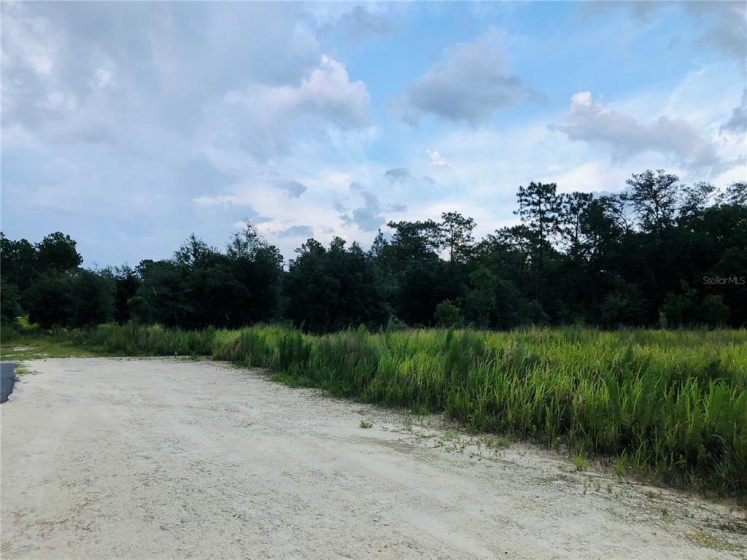 7397 MARICAMP ROAD, OCALA, Florida 34472, ,Land,For Sale,MARICAMP,OM622054