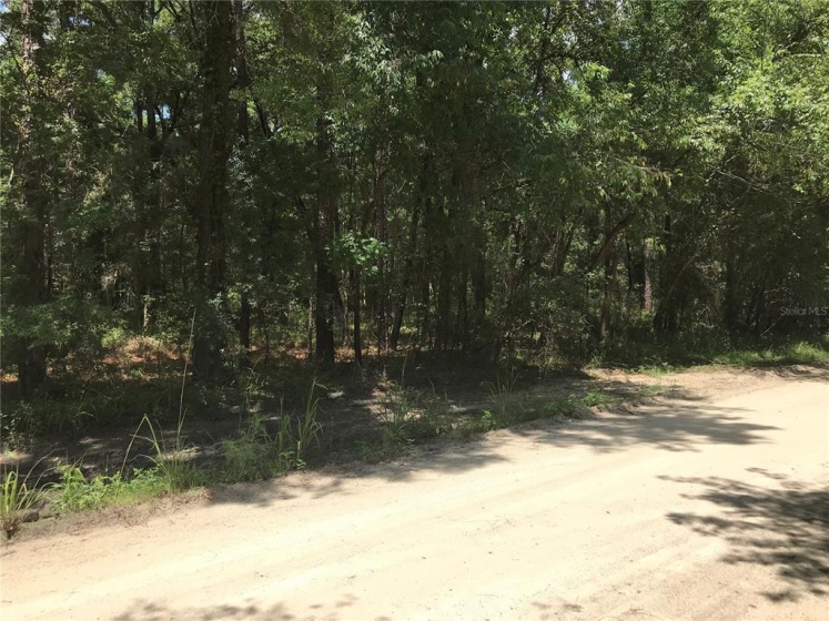 TBD 27TH LANE, OCALA, Florida 34481, ,Land,For Sale,27TH,OM621844