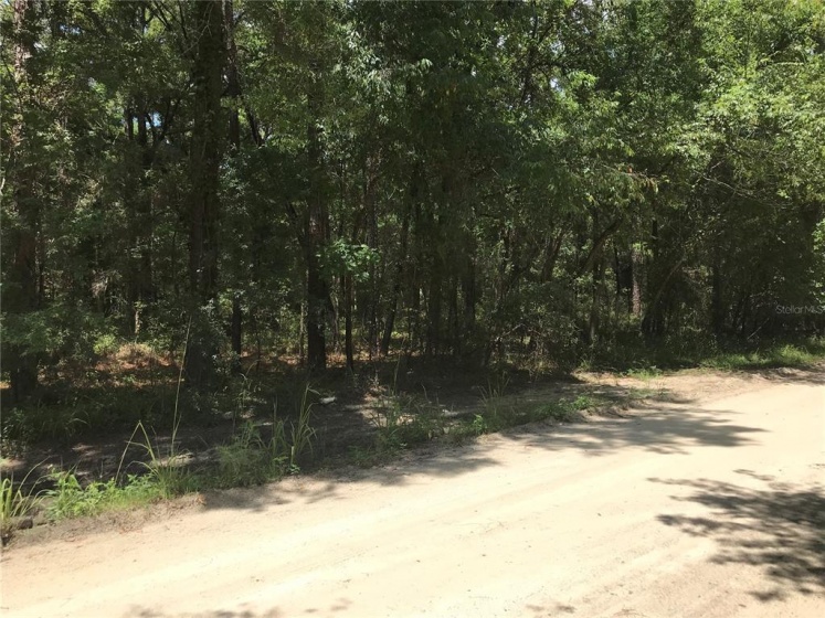 TBD 27TH LANE, OCALA, Florida 34481, ,Land,For Sale,27TH,OM621844