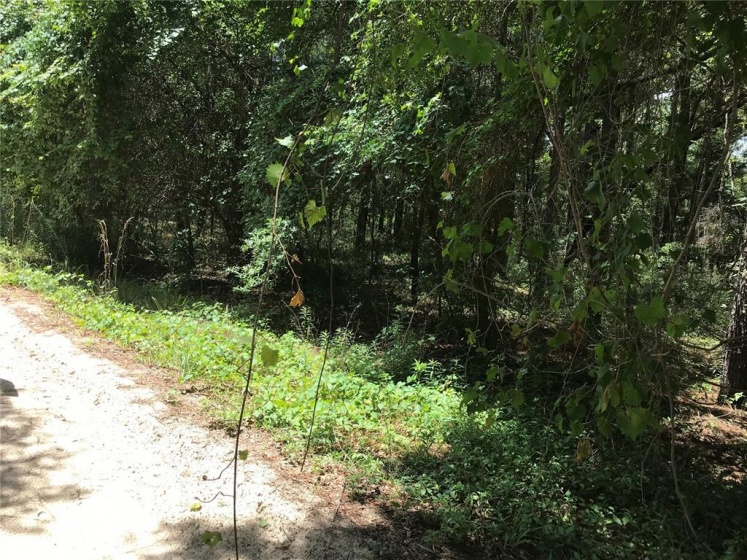 TBD 27TH LANE, OCALA, Florida 34481, ,Land,For Sale,27TH,OM621844