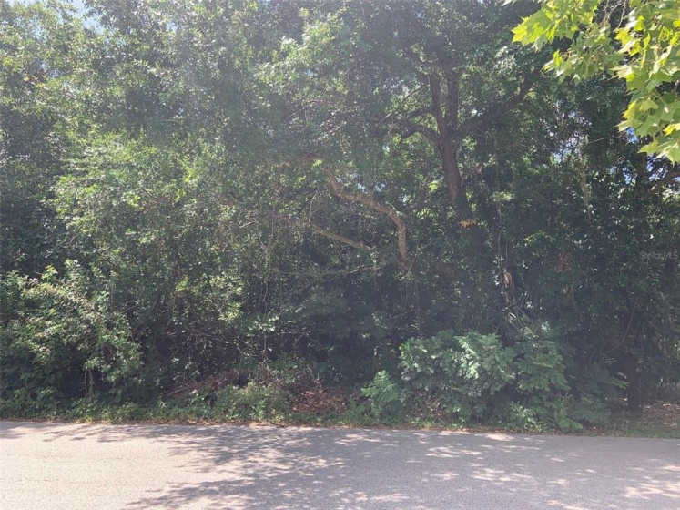 SUNSET ROAD, APOPKA, Florida 32703, ,Land,For Sale,SUNSET,O5950498