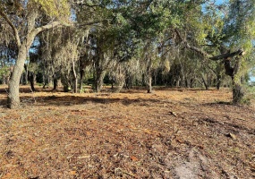 3524 HICKORY TREE ROAD, SAINT CLOUD, Florida 34772, ,Land,For Sale,HICKORY TREE,O5954150