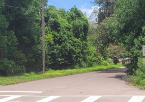 HIGH STREET, LAKE MARY, Florida 32746, ,Land,For Sale,HIGH,V4919860