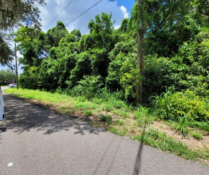 HIGH STREET, LAKE MARY, Florida 32746, ,Land,For Sale,HIGH,V4919860