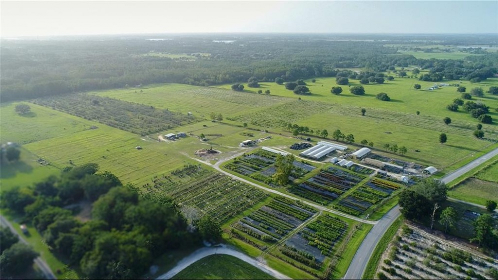 CLERMONT, Florida 34711, ,Land,For Sale,G5043870