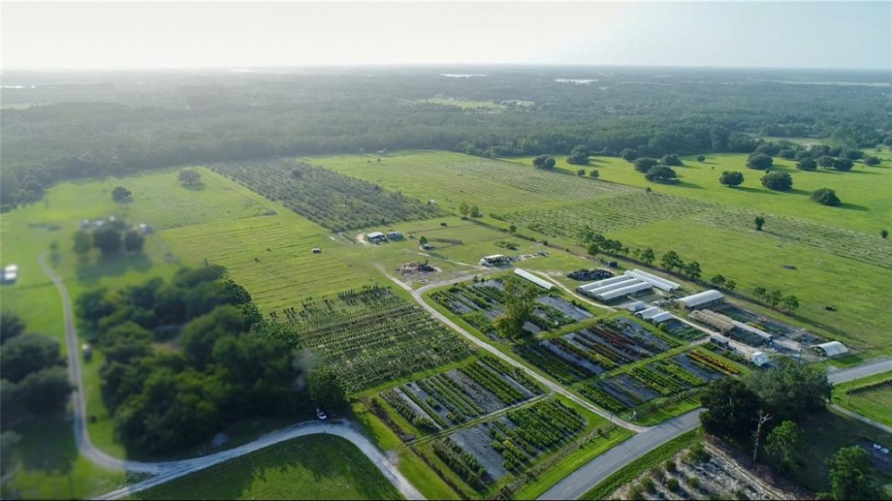 CLERMONT, Florida 34711, ,Land,For Sale,G5043870