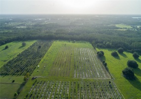 CLERMONT, Florida 34711, ,Land,For Sale,G5043872