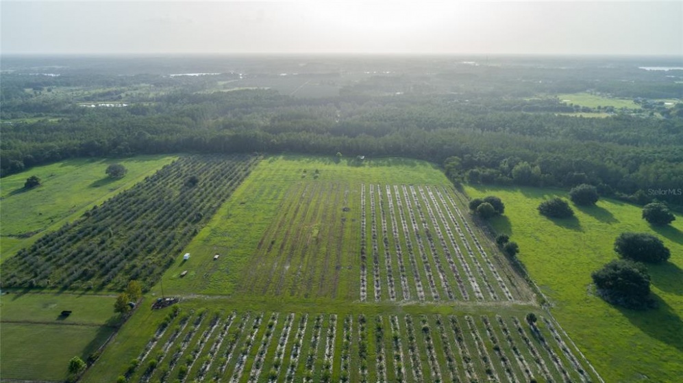 CLERMONT, Florida 34711, ,Land,For Sale,G5043872