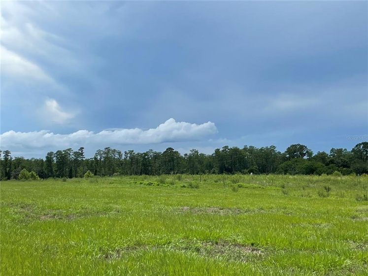 CLERMONT, Florida 34711, ,Land,For Sale,G5043872