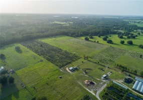 CLERMONT, Florida 34711, ,Land,For Sale,G5043875