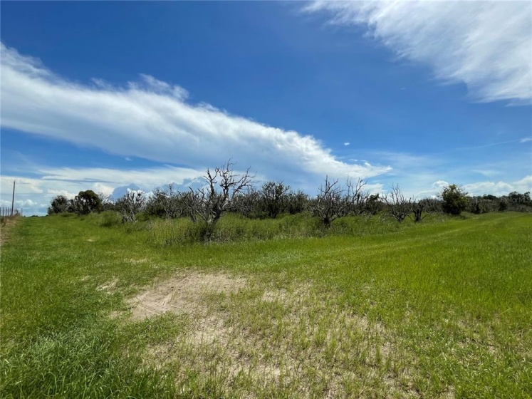 CLERMONT, Florida 34711, ,Land,For Sale,G5043875
