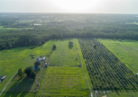 CLERMONT, Florida 34711, ,Land,For Sale,G5043876