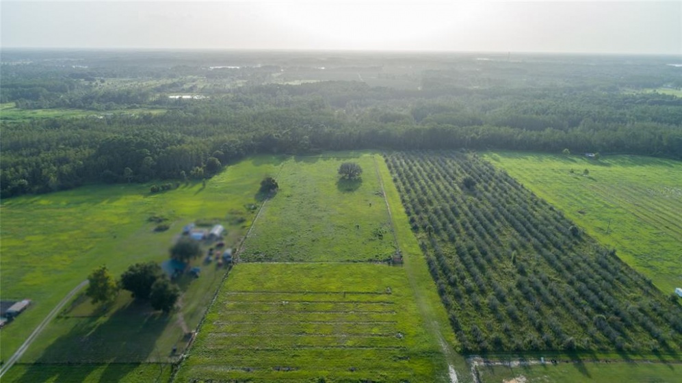 CLERMONT, Florida 34711, ,Land,For Sale,G5043876