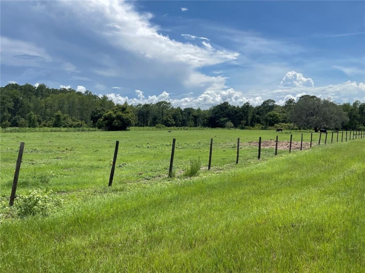 CLERMONT, Florida 34711, ,Land,For Sale,G5043876