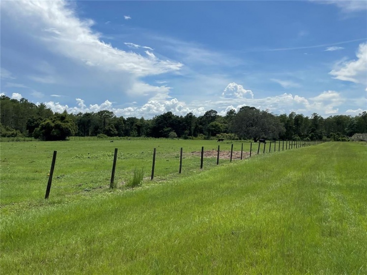 CLERMONT, Florida 34711, ,Land,For Sale,G5043876