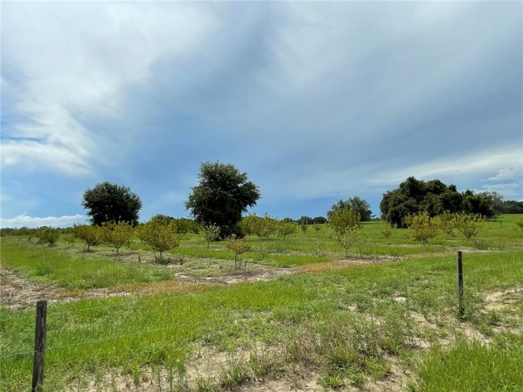 CLERMONT, Florida 34711, ,Land,For Sale,G5043874