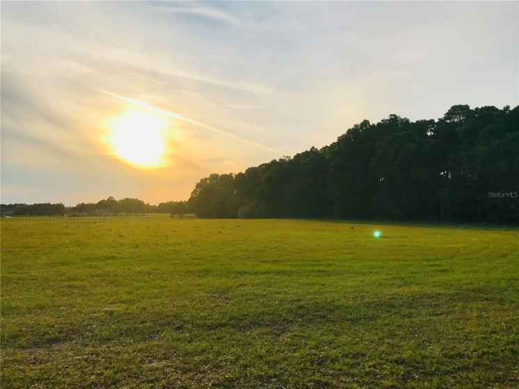 OCALA, Florida 34479, ,Land,For Sale,J930639