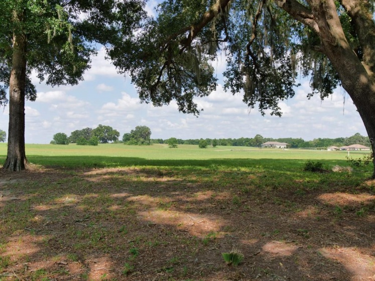 OCALA, Florida 34479, ,Land,For Sale,J930639