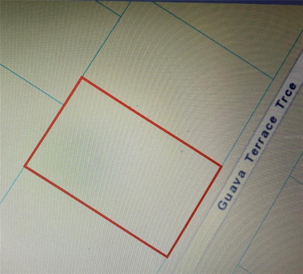 TBD GUAVA TERRACE TRACE, OCALA, Florida 34472, ,Land,For Sale,GUAVA TERRACE,OM623010