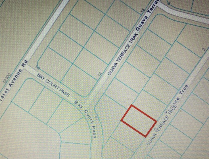TBD GUAVA TERRACE TRACE, OCALA, Florida 34472, ,Land,For Sale,GUAVA TERRACE,OM623010