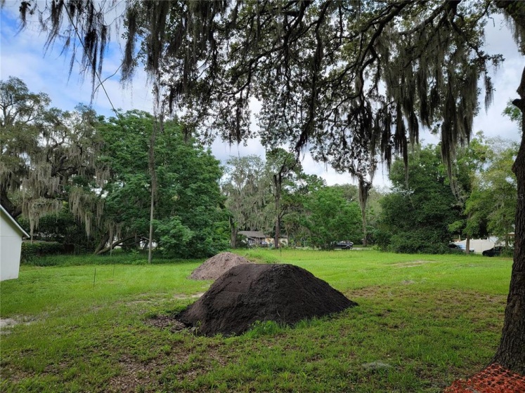 GLOVER LANE, APOPKA, Florida 32703, ,Land,For Sale,GLOVER,O5955859