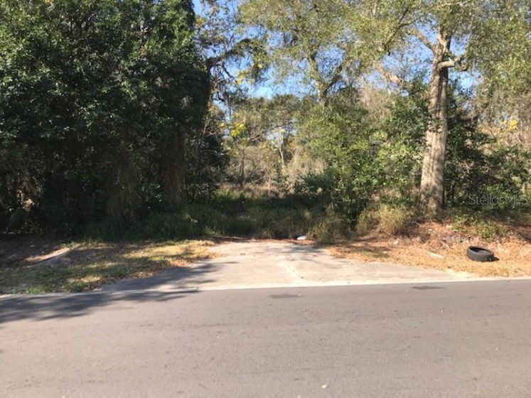 1112 ROBINSON AVENUE, APOPKA, Florida 32703, ,Land,For Sale,ROBINSON,S5045618