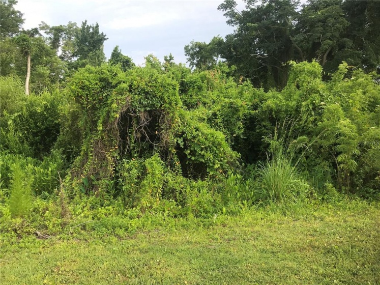2218 CALLOWAY DRIVE, ORLANDO, Florida 32810, ,Land,For Sale,CALLOWAY,O5955875