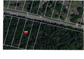 ORANGE BLOSSOM TRAIL, DAVENPORT, Florida 33896, ,Land,For Sale,ORANGE BLOSSOM,S5003876