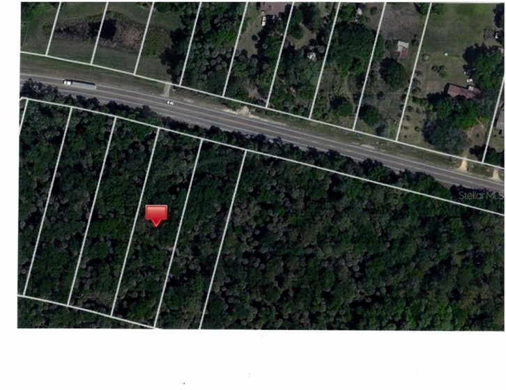 ORANGE BLOSSOM TRAIL, DAVENPORT, Florida 33896, ,Land,For Sale,ORANGE BLOSSOM,S5003876