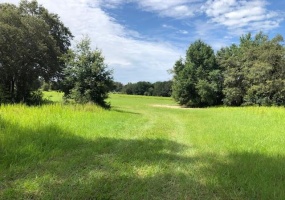 1320 PINE ROAD, OCALA, Florida 34472, ,Land,For Sale,PINE,OM623319
