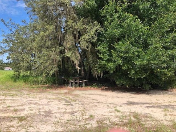 1320 PINE ROAD, OCALA, Florida 34472, ,Land,For Sale,PINE,OM623319