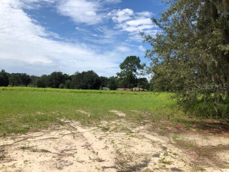 1320 PINE ROAD, OCALA, Florida 34472, ,Land,For Sale,PINE,OM623319