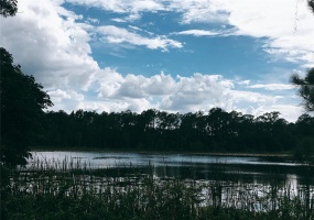 9444 LAKE HICKORY NUT DRIVE, WINTER GARDEN, Florida 34787, ,Land,For Sale,LAKE HICKORY NUT,O5957916